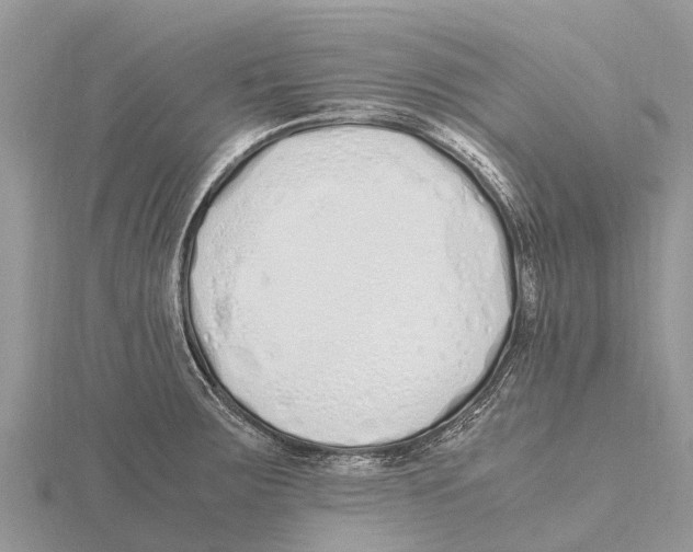 X0000115621283200912081015