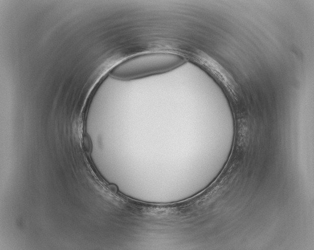 X0000115621284200912081015