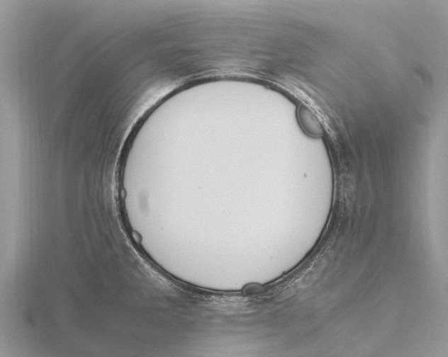 X0000115621285200912081015