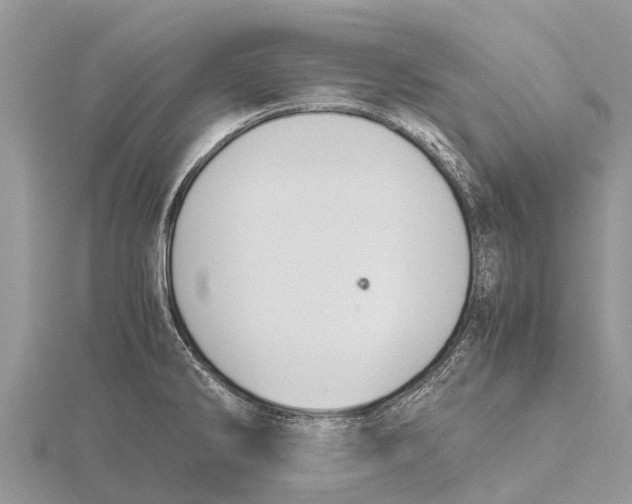 X0000115621286200912081015