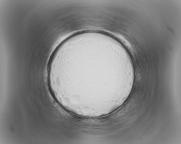 X0000115621287200912081015