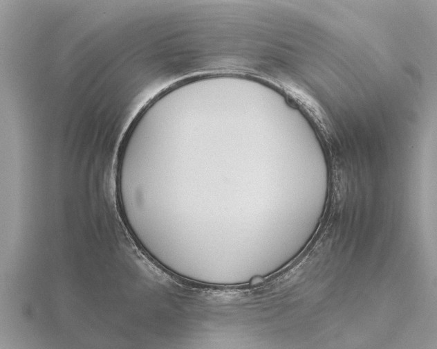 X0000115621288200912081015