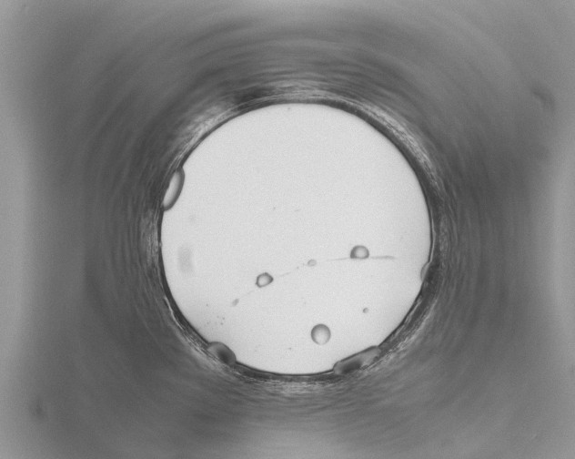 X0000115621289200912081015