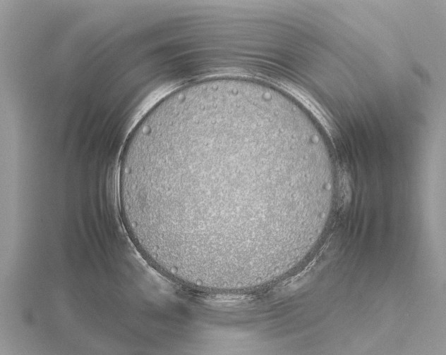 X0000115621290200912081015