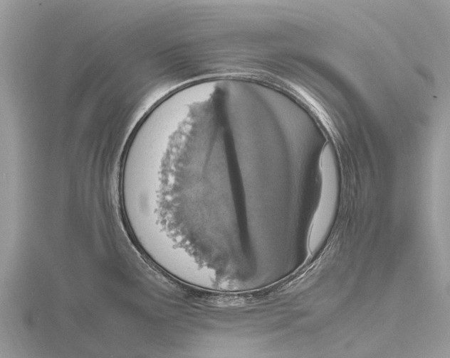 X0000115621291200912081015