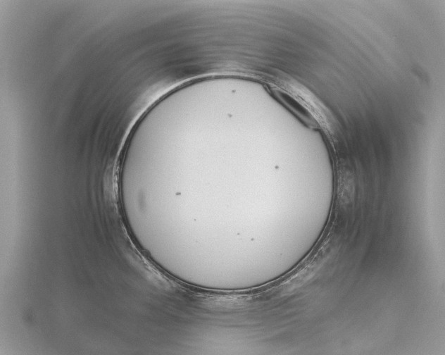 X0000115621292200912081015