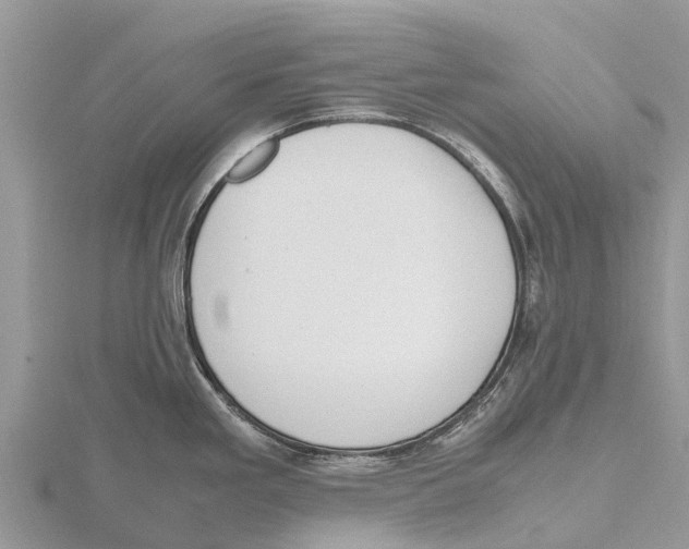 X0000115621293200912081015