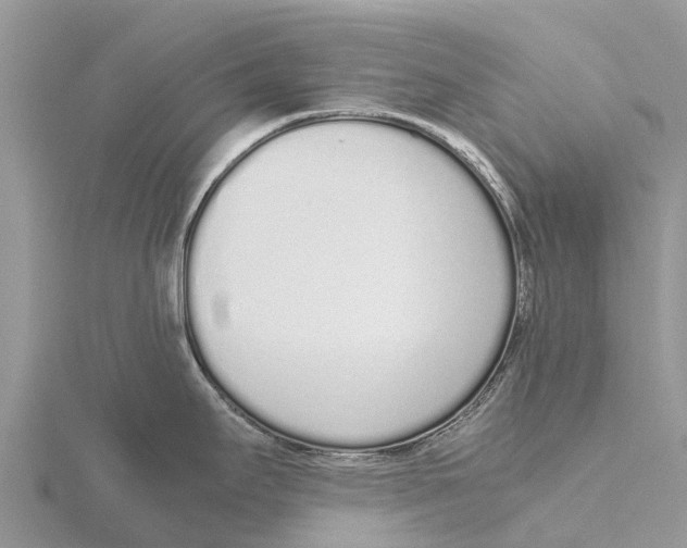 X0000115621295200912081015