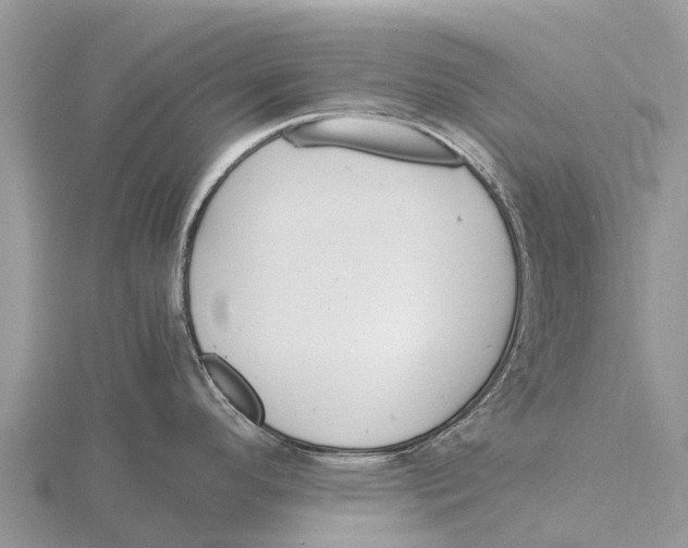 X0000115621296200912081015