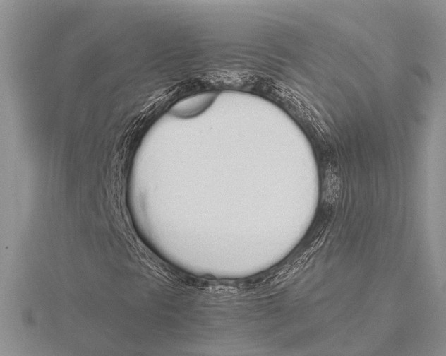 X0000115621297200912081014