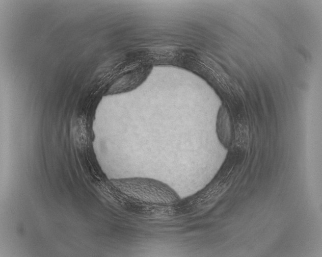 X0000115621298200912081015