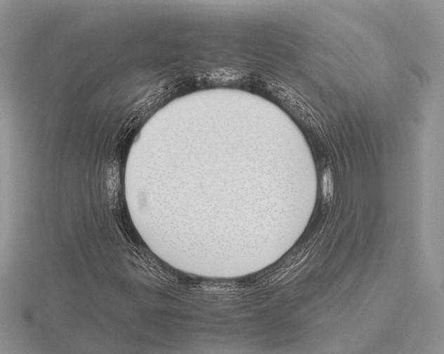 X0000115621299200912081015