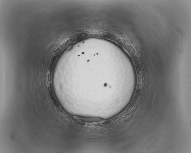 X0000115621301200912081015