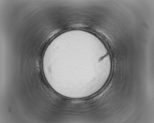 X0000115621305200912081015