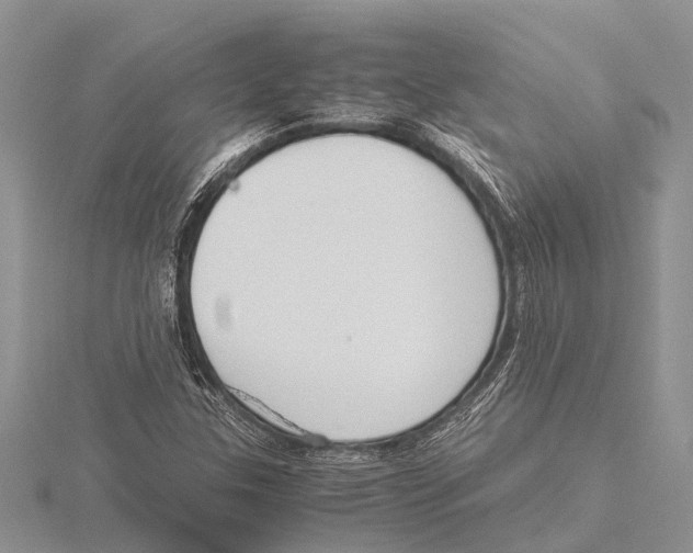 X0000115621307200912081015