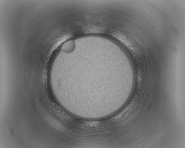 X0000115621309200912081015