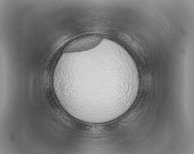 X0000115621310200912081015