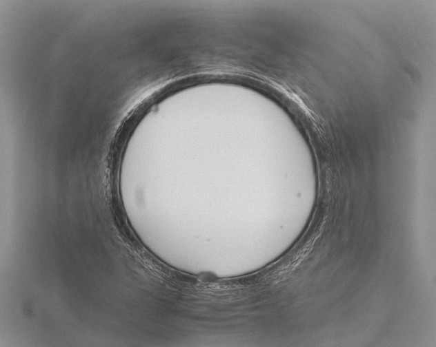 X0000115621311200912081015