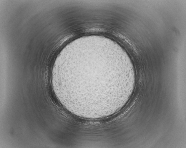 X0000115621313200912081015