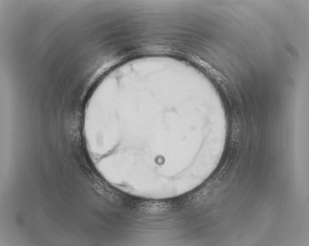 X0000115621314200912081015