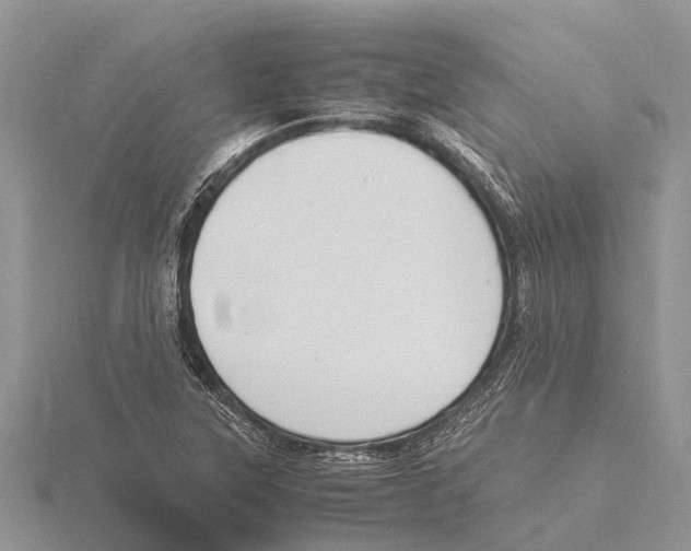 X0000115621315200912081015