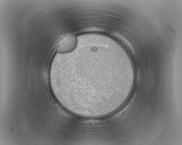 X0000115621321200912081015