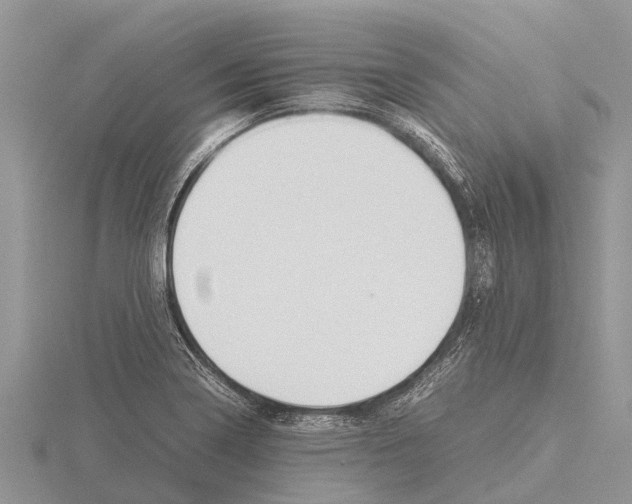 X0000115621322200912081015