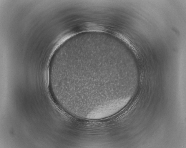 X0000115621323200912081015