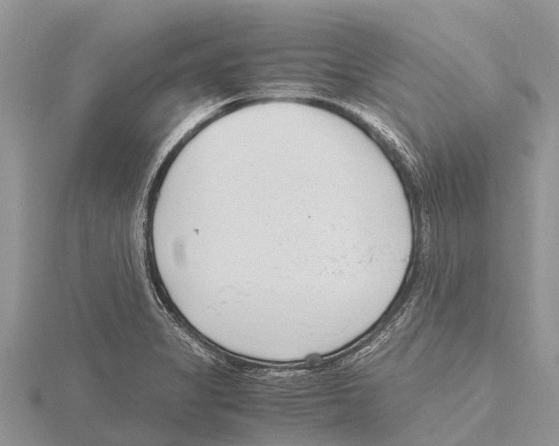 X0000115621325200912081015