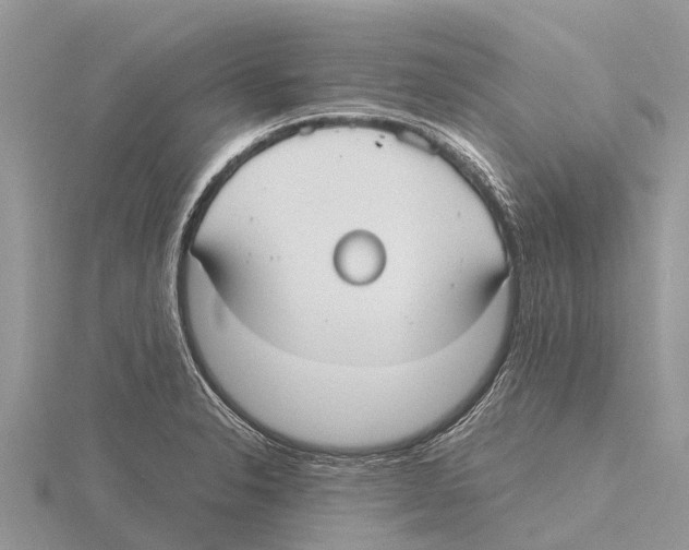 X0000115621326200912081015