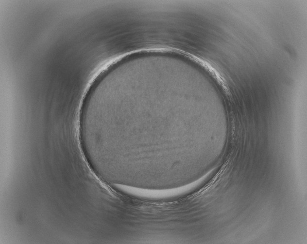 X0000115621327200912081015