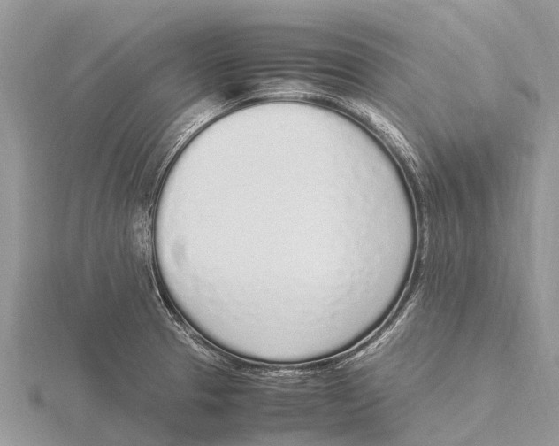 X0000115621329200912081015