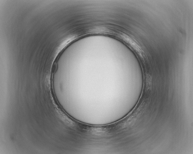 X0000115621330200912081015