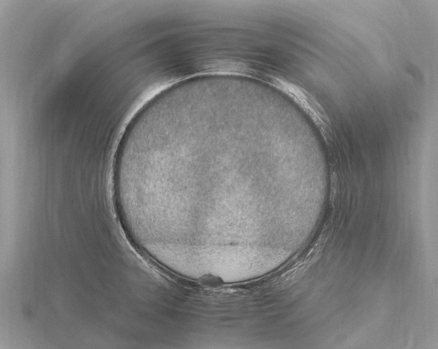 X0000115621331200912081015