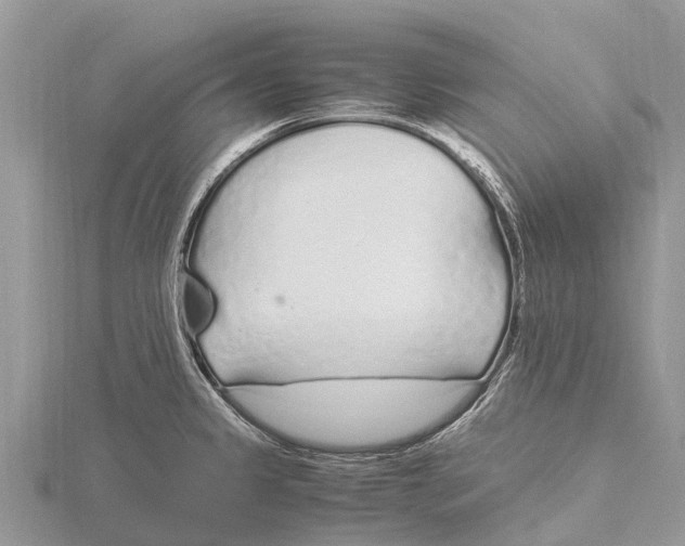 X0000115621333200912081015