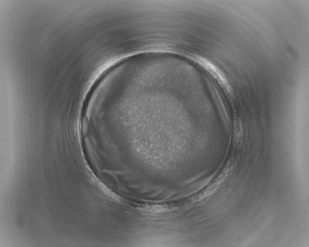 X0000115621334200912081015