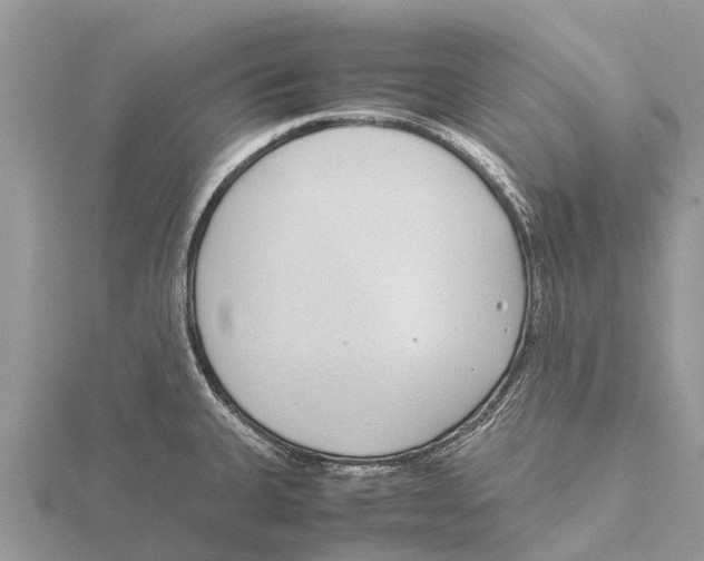 X0000115621335200912081015