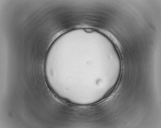 X0000115621337200912081015