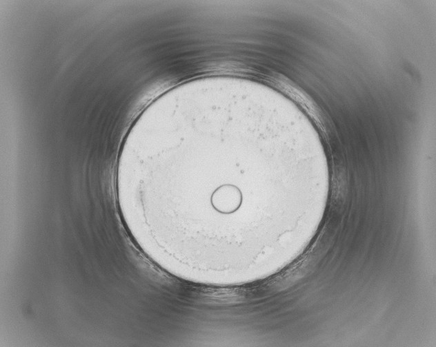 X0000115621338200912081015