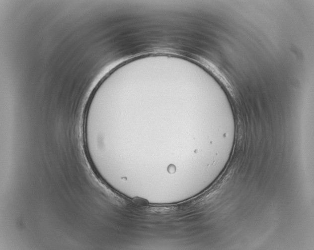 X0000115621339200912081015