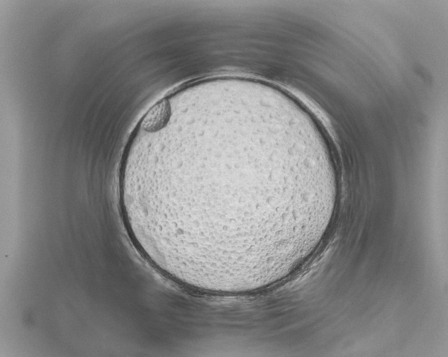 X0000115621341200912081015