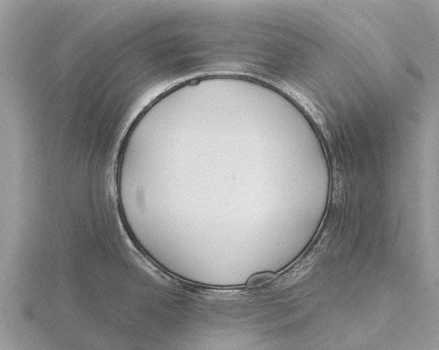 X0000115621342200912081015