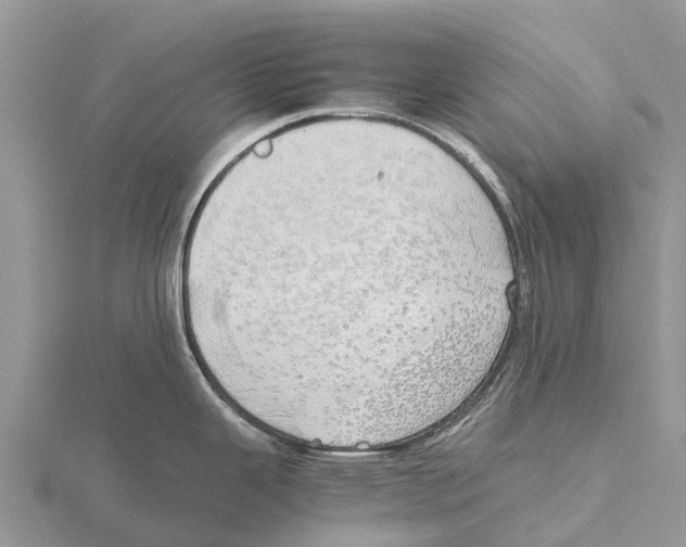 X0000115621343200912081015