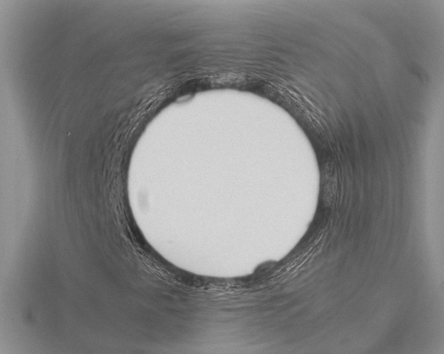 X0000115621345200912081014