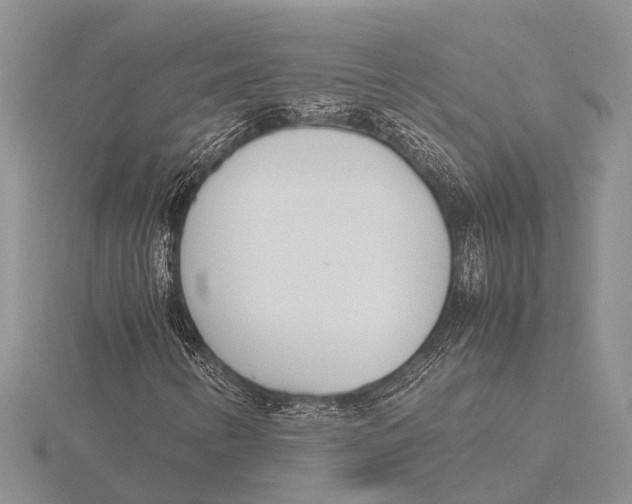 X0000115621346200912081014