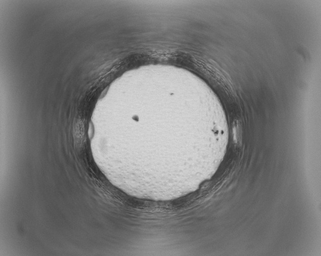 X0000115621347200912081014