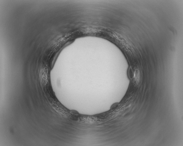 X0000115621348200912081014