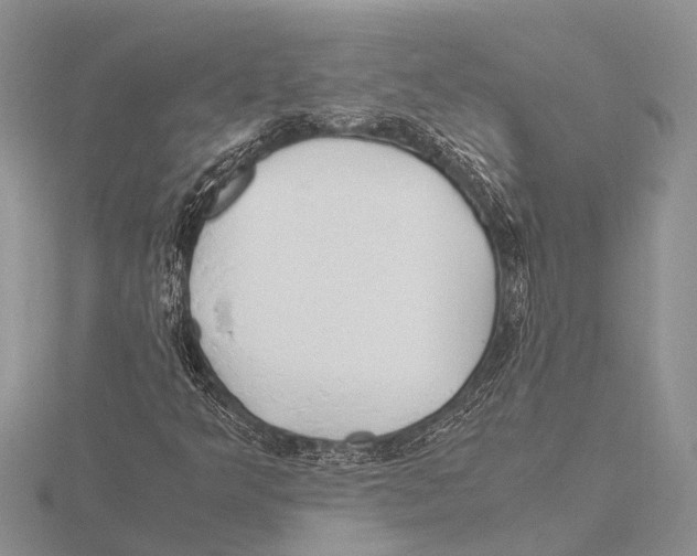 X0000115621349200912081014