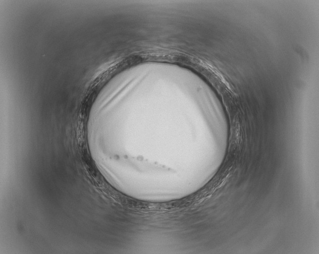 X0000115621350200912081014