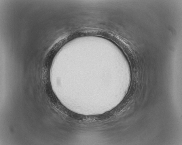 X0000115621351200912081014